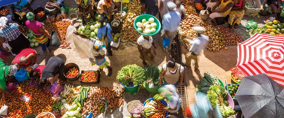 An aerial view of the vegetable market in Santiago, Cape Verde